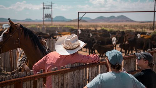 Service Details Image