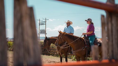 Service Details Image