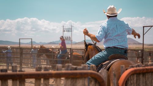 Service Details Image