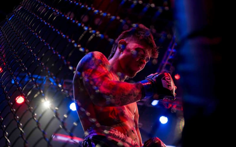 Performer on stage under dramatic concert lighting captured during live event coverage