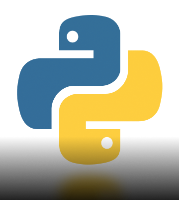Top 10 Python Development Companies in New York