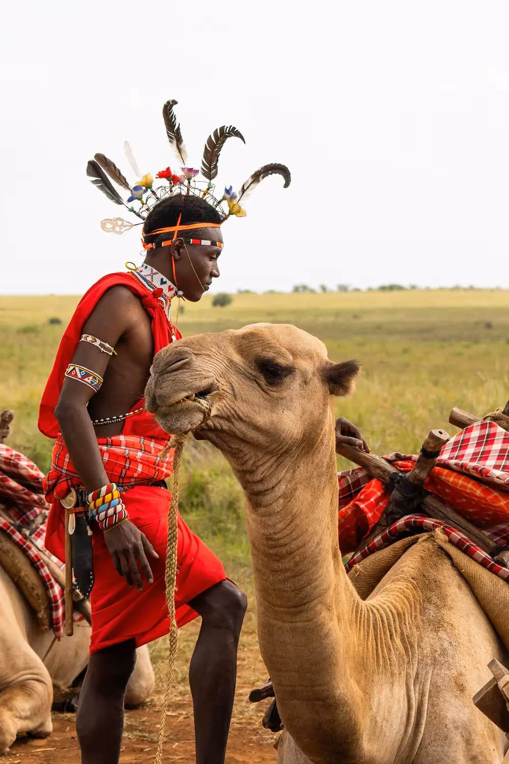 Person in red standing with a camel