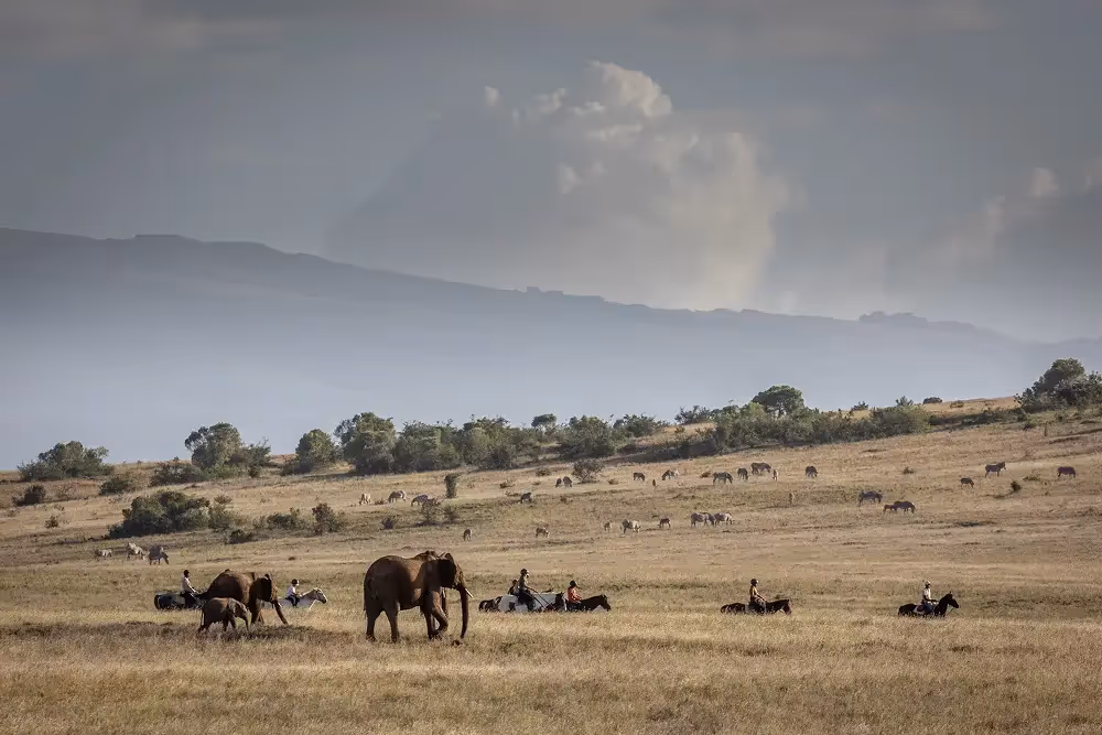 People riding on horses with elephants in the foreground