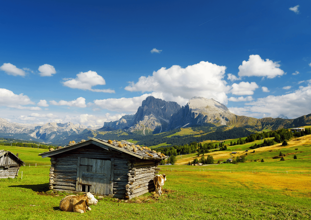 The Ultimate E-Bike Adventure on Alpe di Siusi: See the Dolomites' Most Iconic Spots in Just One Ride