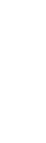 Background Vector