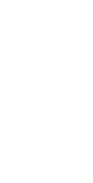 Background Vector