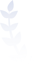 Background Vector