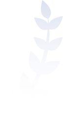 Background Vector