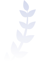 Background Vector
