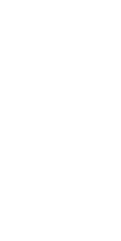 Background Vector