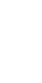 Background Vector