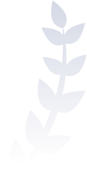 Methode Image Vector