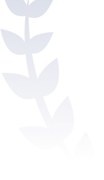 Vector