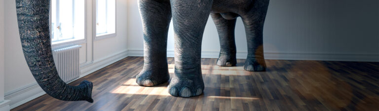 The Elephant in the Room 2022