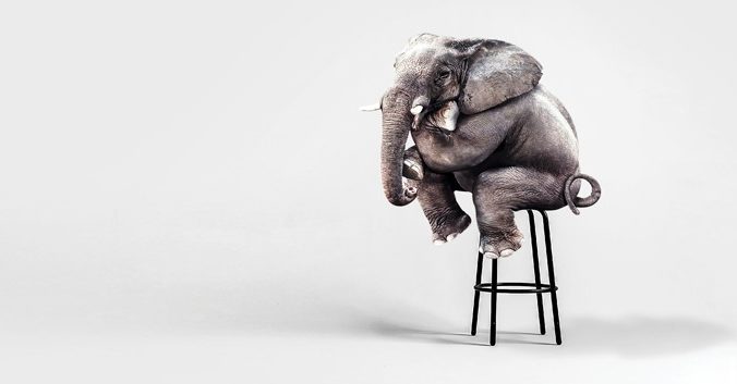 The Elephant in the Room