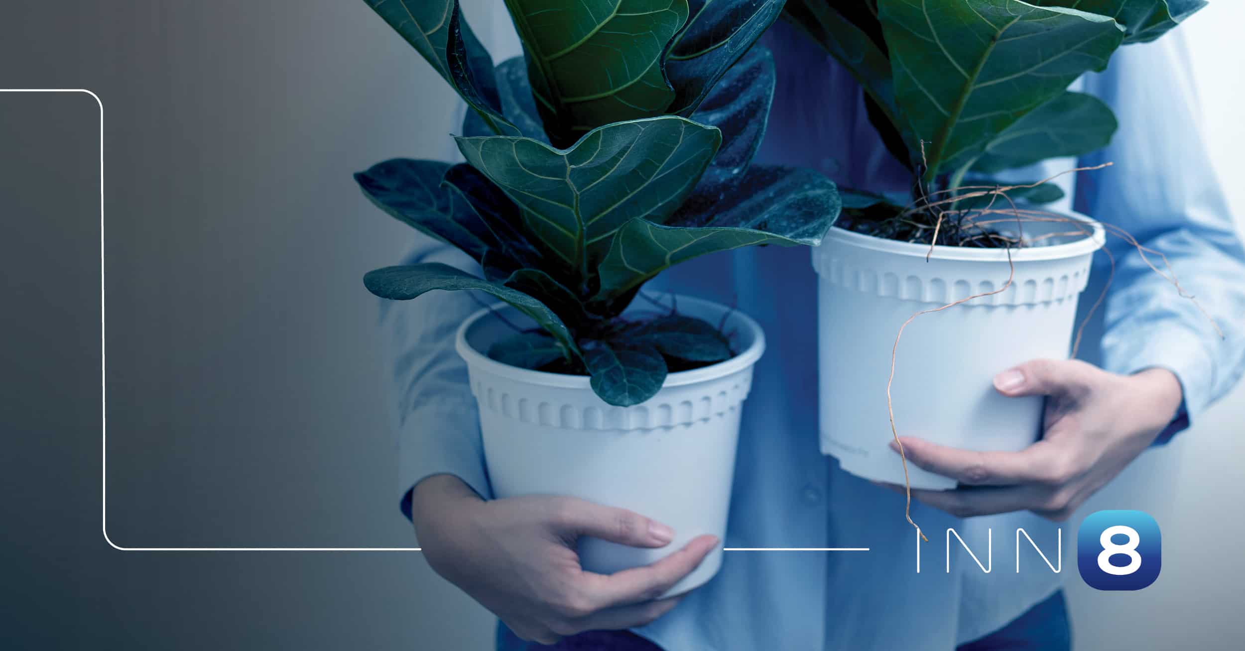 Two Pot Retirement Changes Get the Go Ahead for 2024 - What Advisers Need to Know