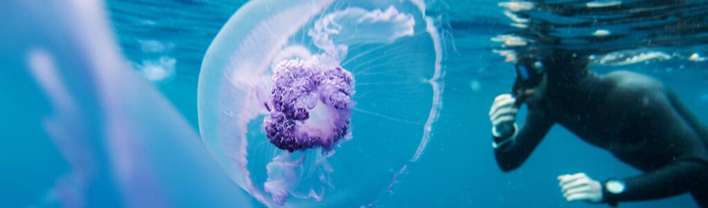 Beyond Borders: Understanding Exchange Control and Inheritance