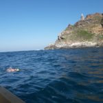 Georgina Smith Cape Point Swim 2