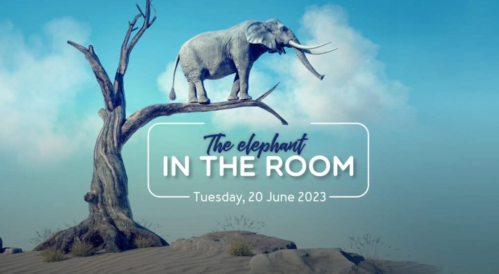Elephant in the room 2023