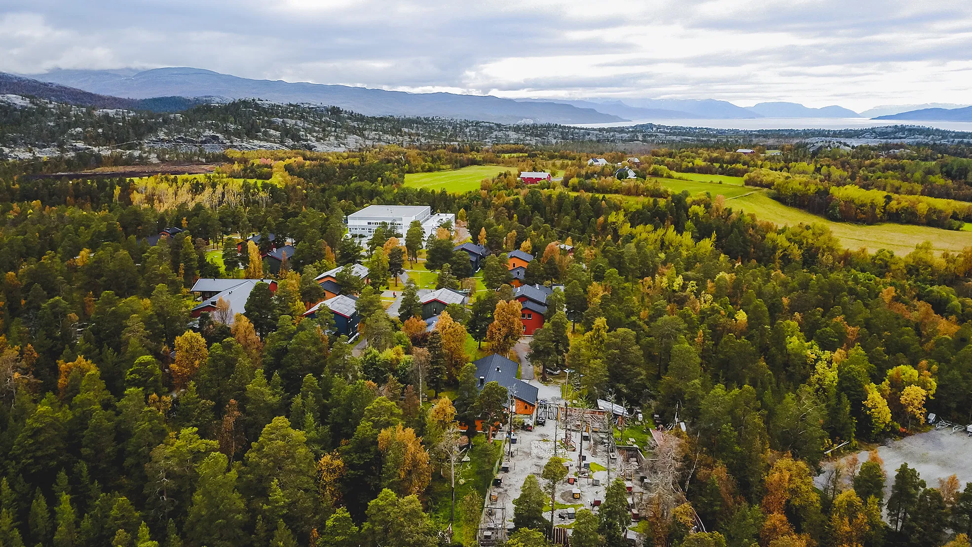 dronebilde av skoleområdet og skog