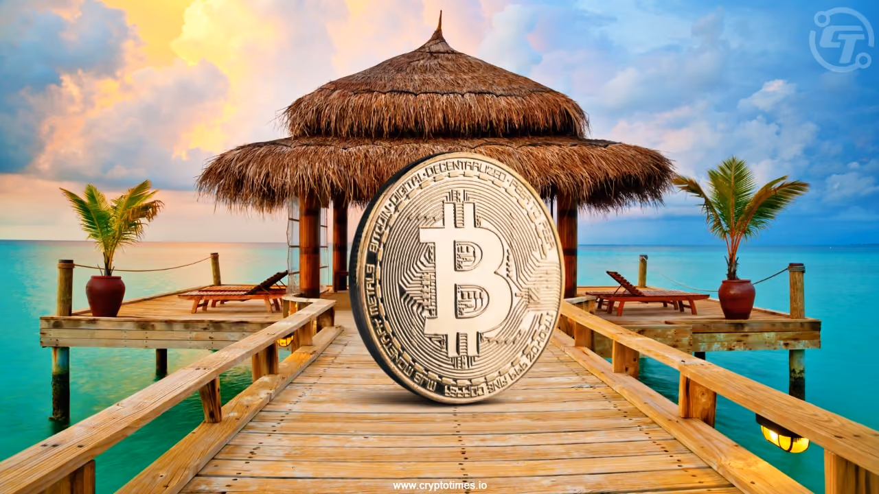 The Crypto Times