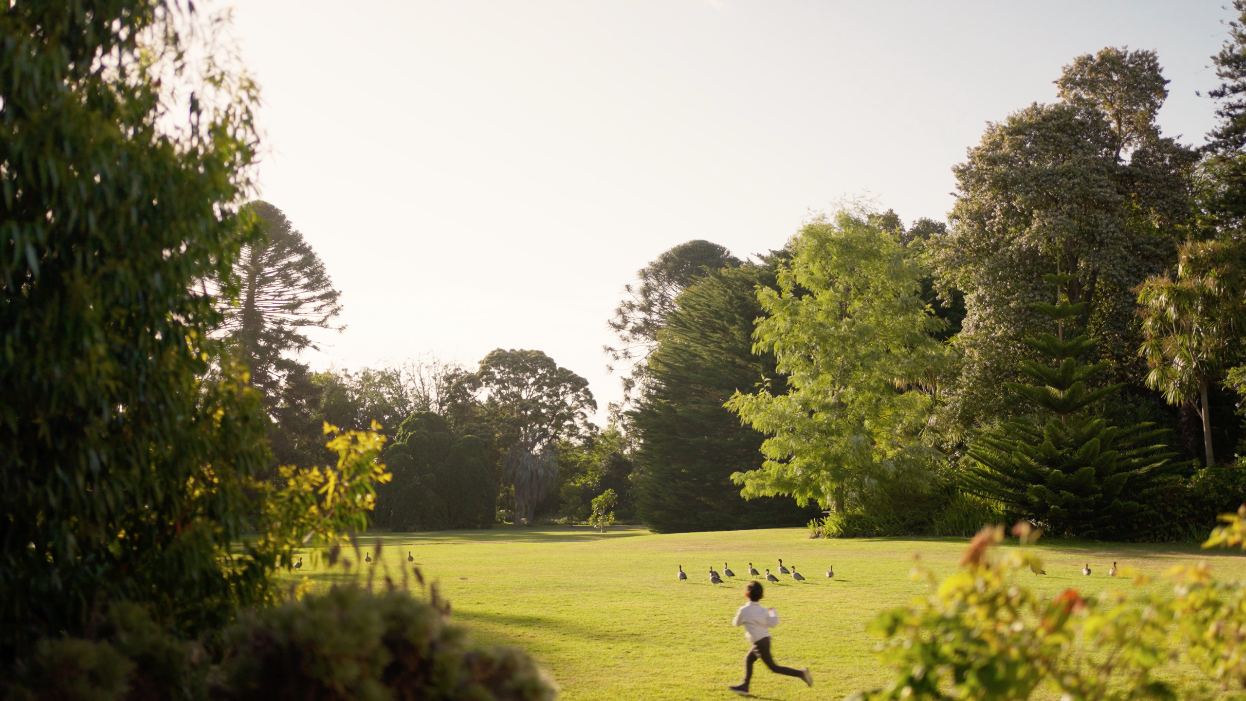 Storytelling wedding videography at Rippon Lea Estate