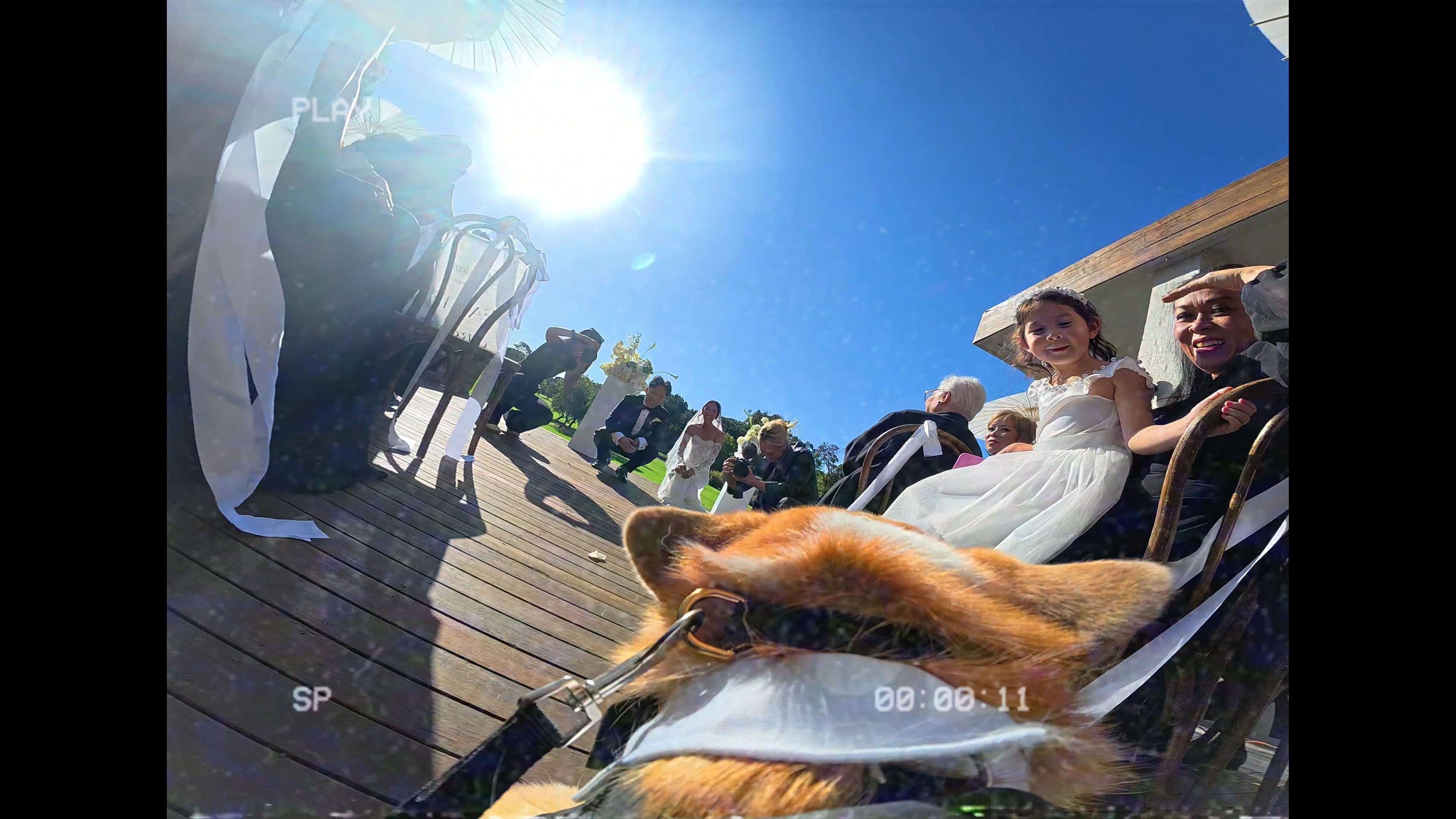 Melbourne wedding videography at Greenfields, Albert Park