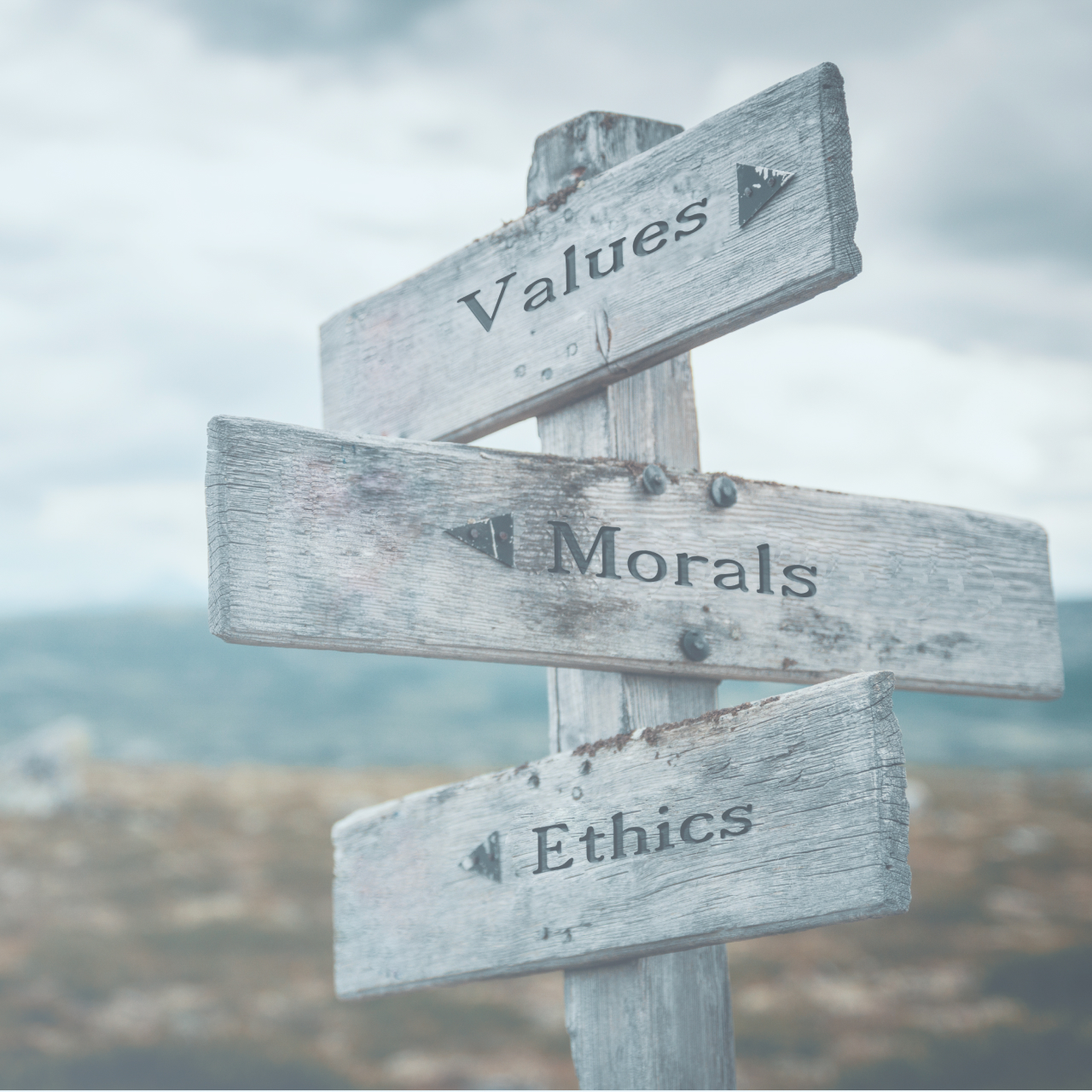 The CREMER Code of Conduct