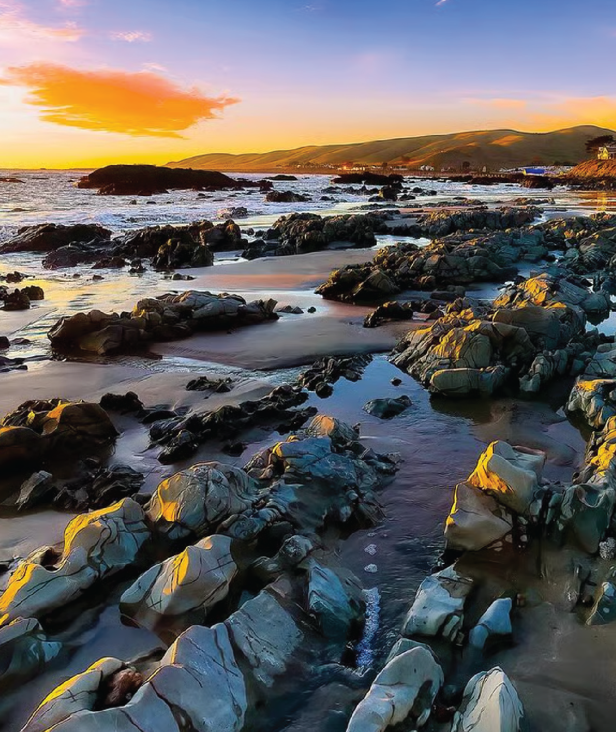 Visitor Alliance of Cayucos | High-Impact Layout
