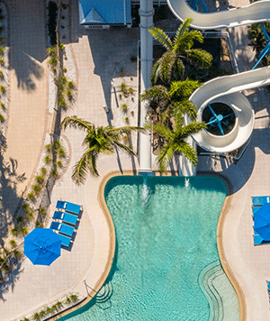 South Seas | Branded Layout