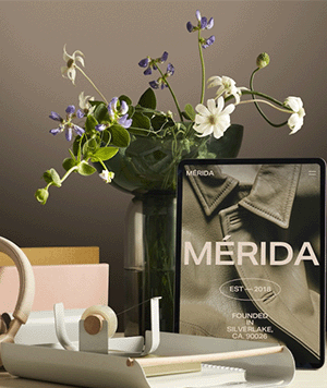 Squarespace | High-Impact Layout