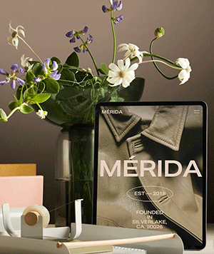 Squarespace | High-Impact Layout