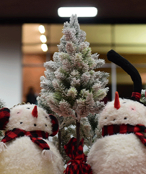 Pennsylvania Christmas + Gift Show | StoryStudio Guide