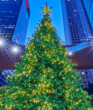 Houston Chronicle | Holiday Co-op Hub