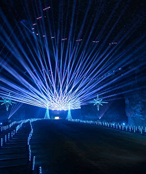 Lights Under Louisville | StoryStudio Guide