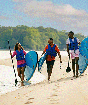 Visit Virginia Beach | Branded Hub