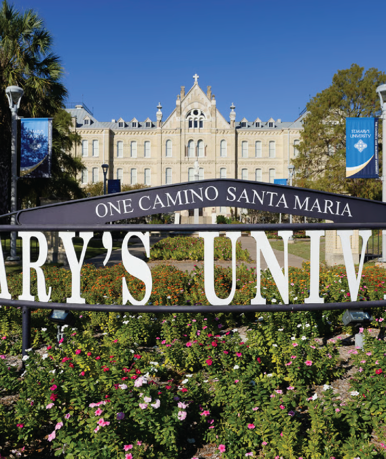 St. Mary's University | High-Impact Layout