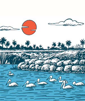 Whitecap NPI | StoryStudio Scrolls