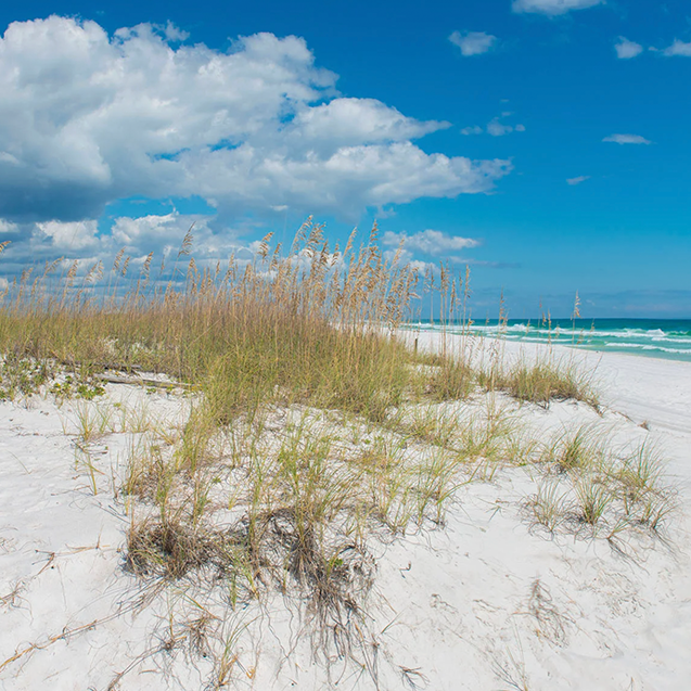 Vacation Artfully | High-Impact Layout