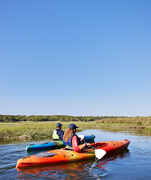 Cape Cod Chamber of Commerce