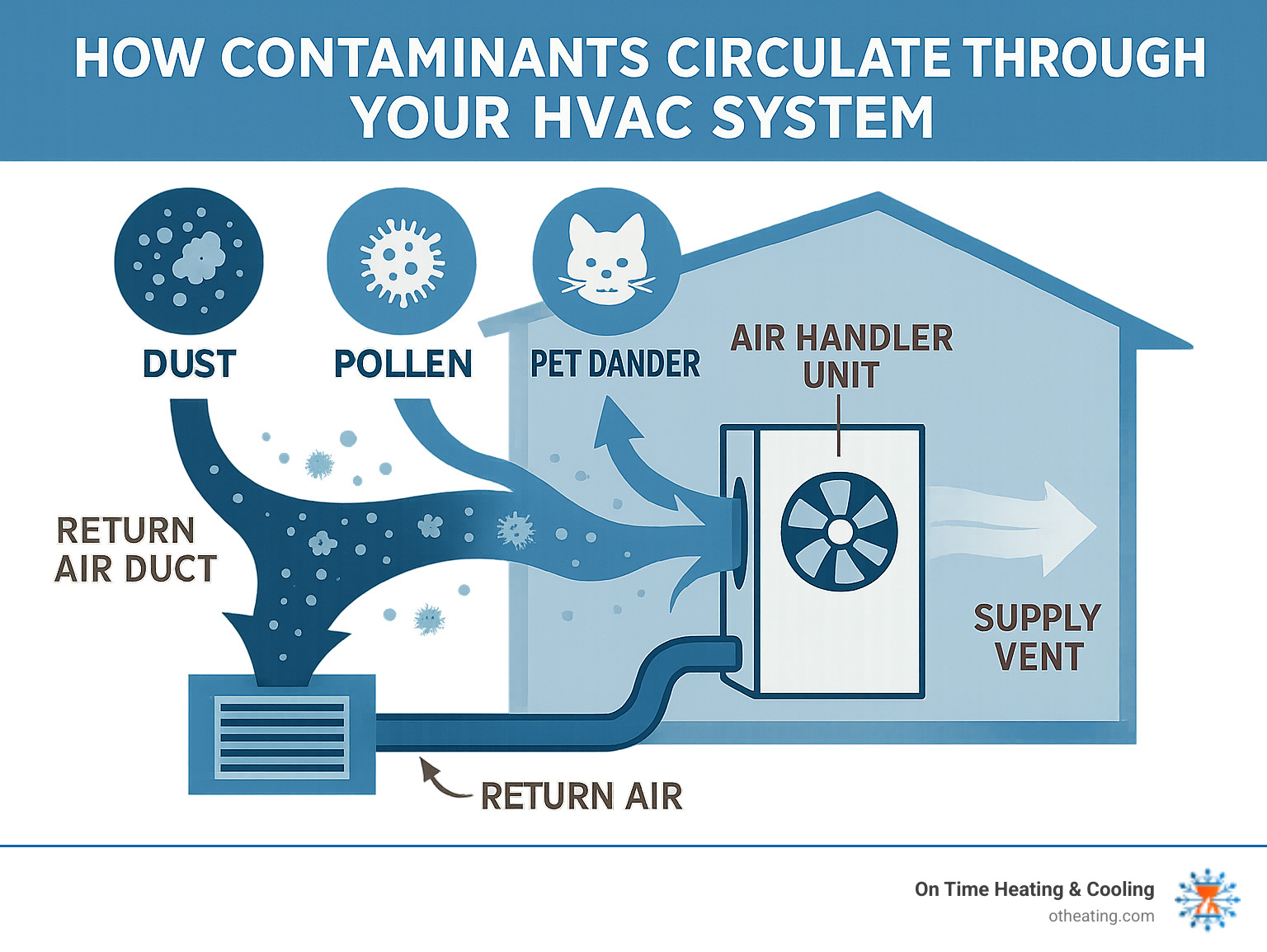 Detailed infographic showing how dust, pollen, pet dander, and other airborne contaminants circulate through a home's HVAC system, highlighting problem areas like return air ducts, supply vents, and the air handler unit - air duct cleaning Germantown infographic 