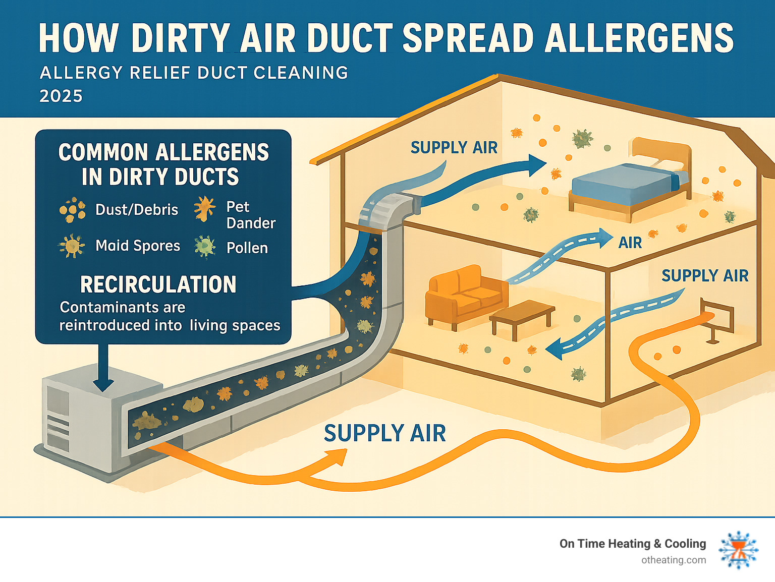 Detailed infographic showing how an HVAC system circulates allergens from dirty ducts throughout a home, including air flow patterns, common allergen locations in ductwork, and the recirculation process that spreads contaminants to living spaces - allergy relief duct cleaning infographic 