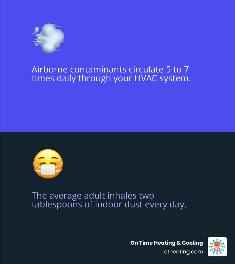 Infographic showing how dust, allergens, pet dander, and debris circulate through a home's HVAC ductwork system from intake vents through the furnace and out through supply vents into living spaces, with arrows indicating airflow direction and contamination points - duct cleaning grafton wi infographic 2_facts_emoji_blue Infographic showing how dust, allergens, pet dander, and debris circulate through a home's HVAC ductwork system from intake vents through the furnace and out through supply vents into living spaces, with arrows indicating airflow direction and contamination points - duct cleaning grafton wi infographic 2_facts_emoji_blue