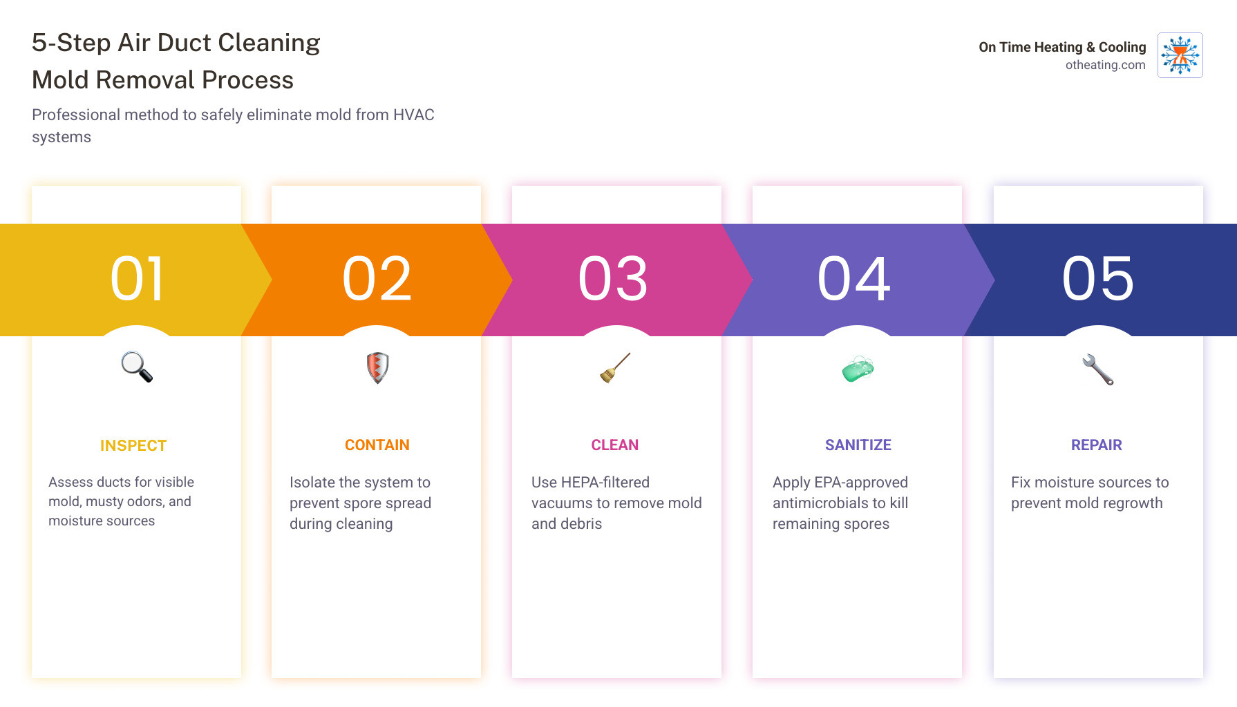 Infographic showing the mold growth cycle in HVAC systems from moisture entry to spore circulation - air duct cleaning Infographic showing the mold growth cycle in HVAC systems from moisture entry to spore circulation - air duct cleaning