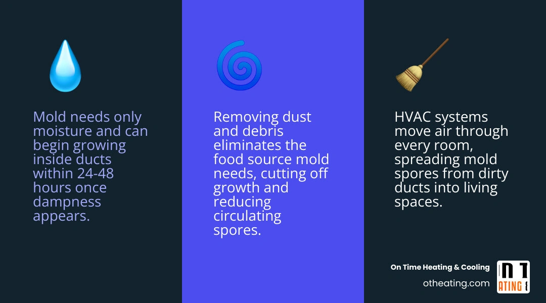 Infographic showing how mold spreads through HVAC ductwork from moisture source to living spaces and how cleaning breaks the Infographic showing how mold spreads through HVAC ductwork from moisture source to living spaces and how cleaning breaks the