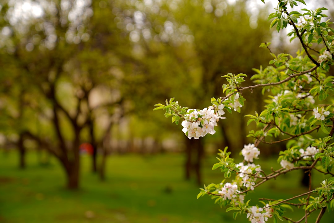 Ac Tune Up Guide for Southeastern Wisconsin Homeowners: Top 2026 Tips
