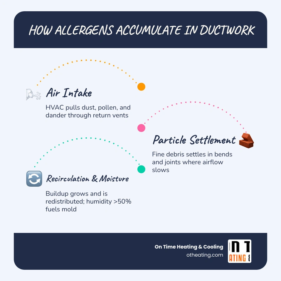 HVAC allergen cycle infographic: return vent intake, particle settling in ducts, buildup over time, recirculation into rooms HVAC allergen cycle infographic: return vent intake, particle settling in ducts, buildup over time, recirculation into rooms