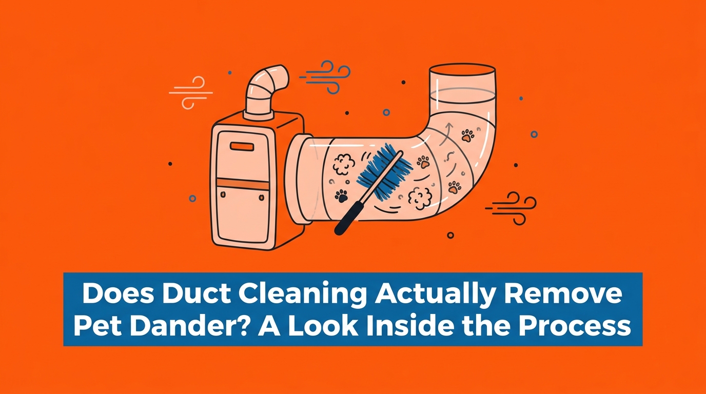 Does Duct Cleaning Actually Remove Pet Dander?