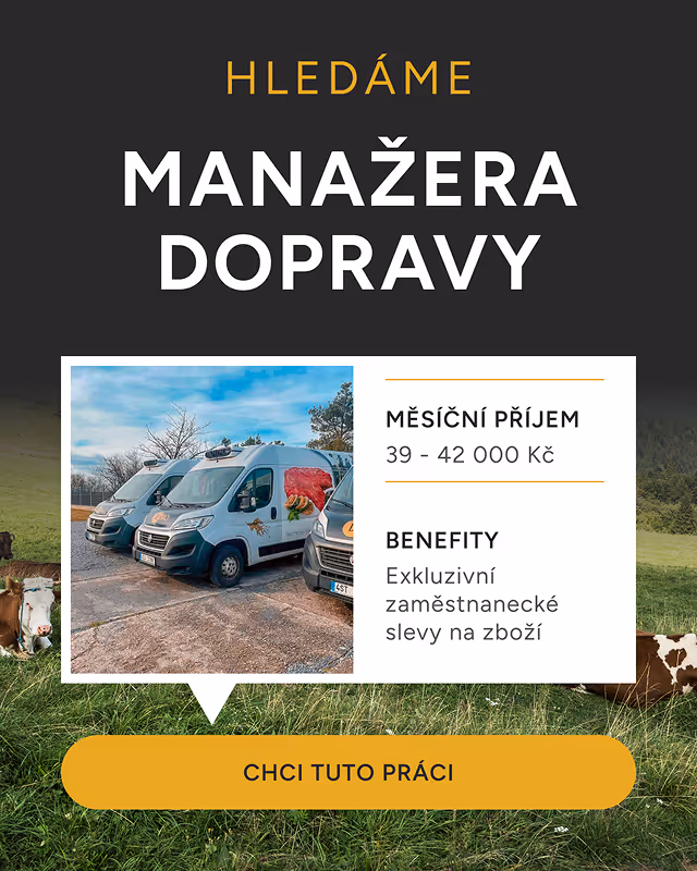 Obrázek PPC banneru