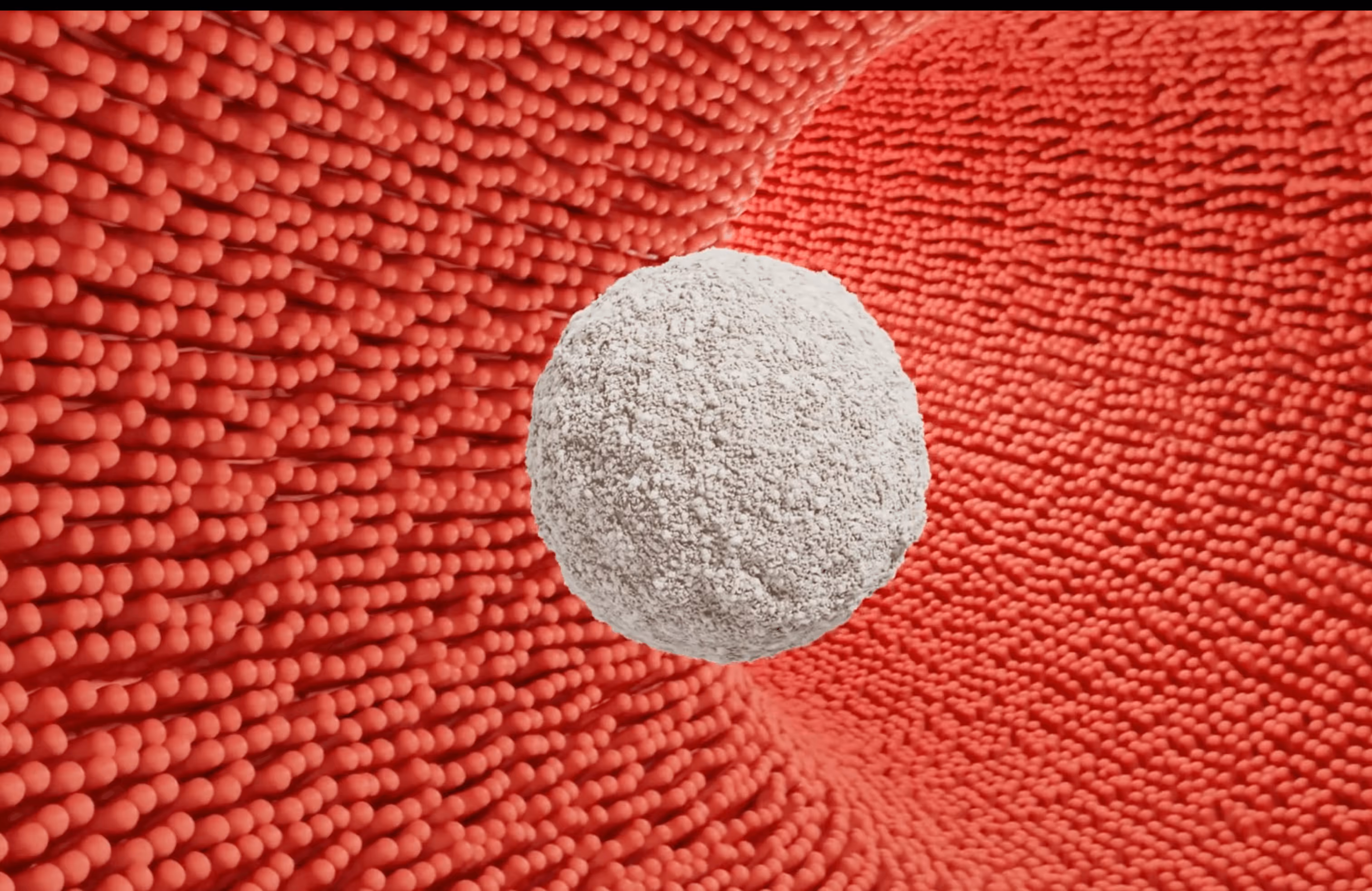 Motion Design Publicitaire